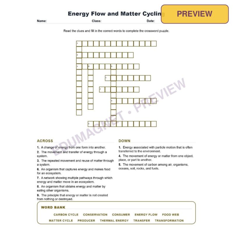 Energy Flow And Matter Cycling (Crossword Worksheets) Grade 8 Science TEKS 8.5E