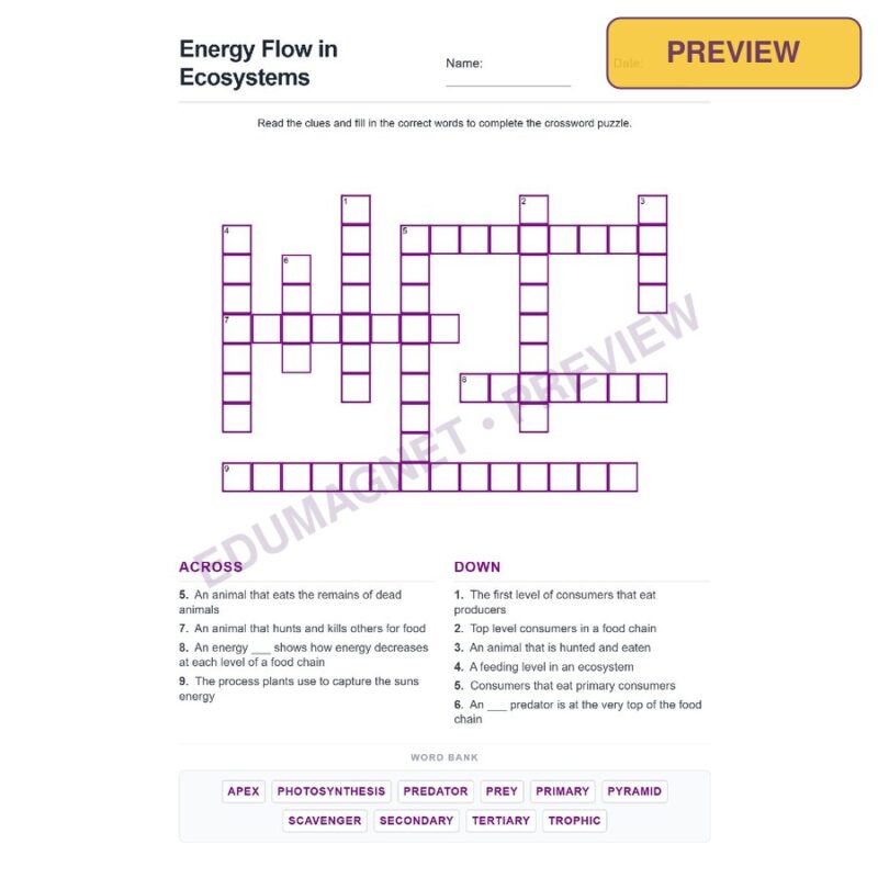 Energy Flow In Ecosystems Grade 5 NGSS 5 LS2 1 ( Crossword Activity ) (1)
