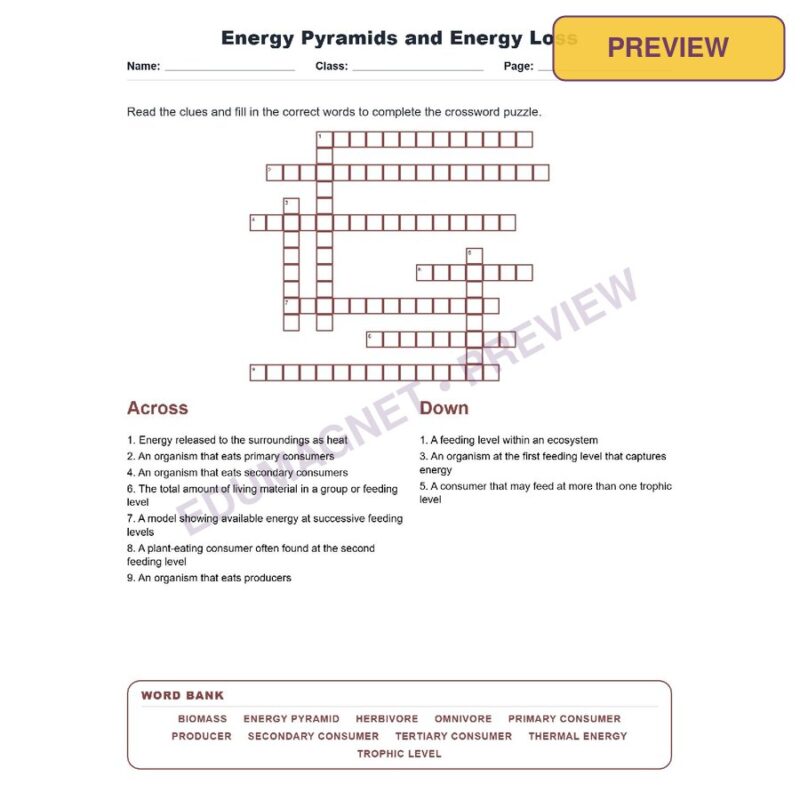 Energy Pyramids And Energy Loss (Crossword Worksheets) Virginia SOL LS.5