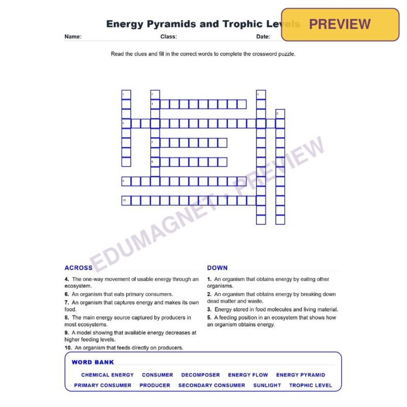 Energy Pyramids And Trophic Levels (Crossword Worksheets) Grade 7 Science TEKS 7.12A