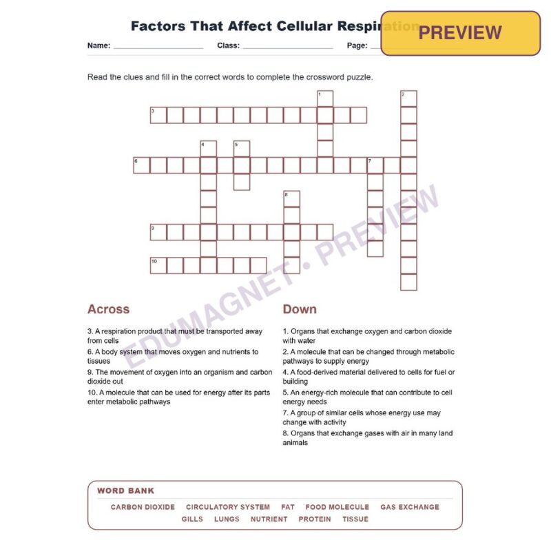 Factors That Affect Cellular Respiration (Crossword Worksheets) Virginia SOL LS.4
