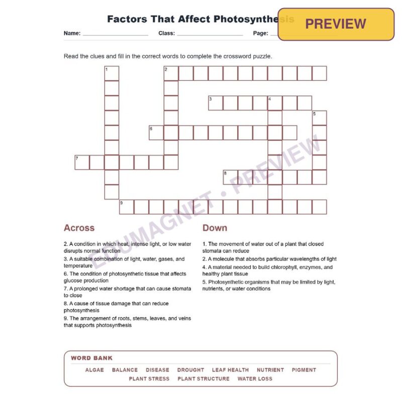 Factors That Affect Photosynthesis (Crossword Worksheets) Virginia SOL LS.4
