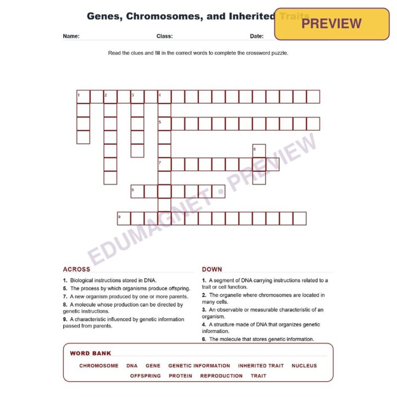 Genes, Chromosomes, And Inherited Traits (Crossword Worksheets) Grade 8 Science TEKS 8.13B