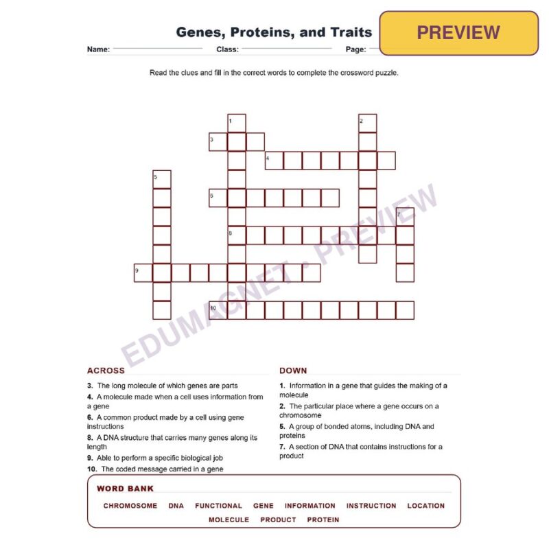 Genes, Proteins, And Traits (Crossword Worksheets) Virginia SOL LS.10