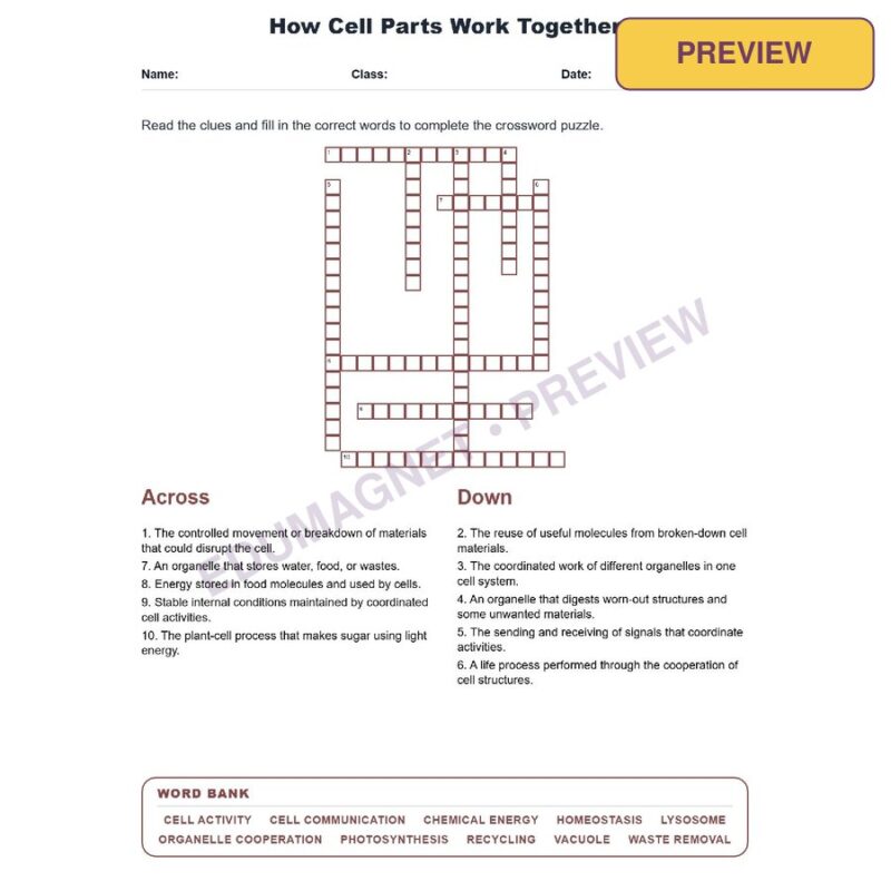 How Cell Parts Work Together (Crossword Worksheets) Virginia Grade 7 Life Science SOL LS.2