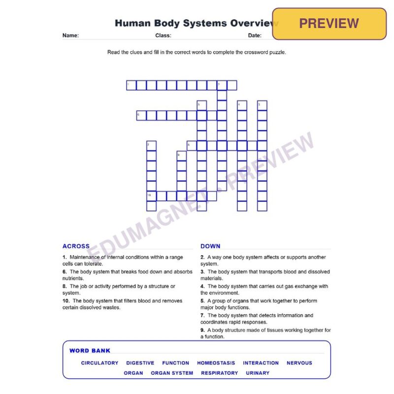 Human Body Systems Overview (Crossword Worksheets) Grade 7 Science TEKS 7.13A