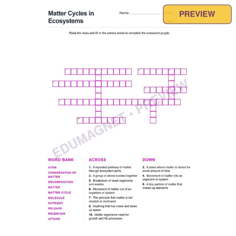 Matter Cycles In Ecosystems (Crossword Worksheets) Grade 7 NGSS