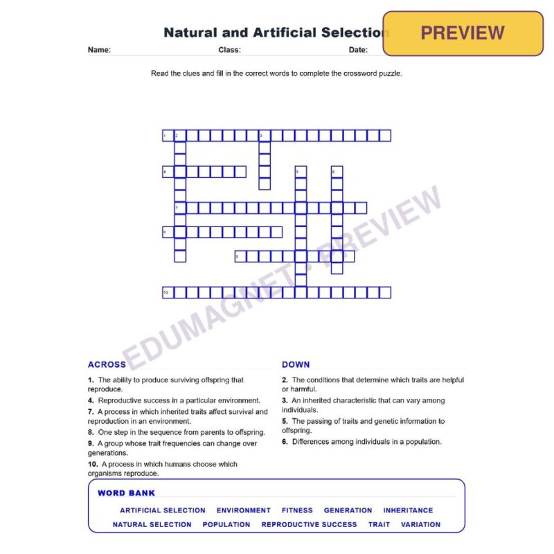 Natural And Artificial Selection (Crossword Worksheets) Grade 7 Science TEKS 7.13D