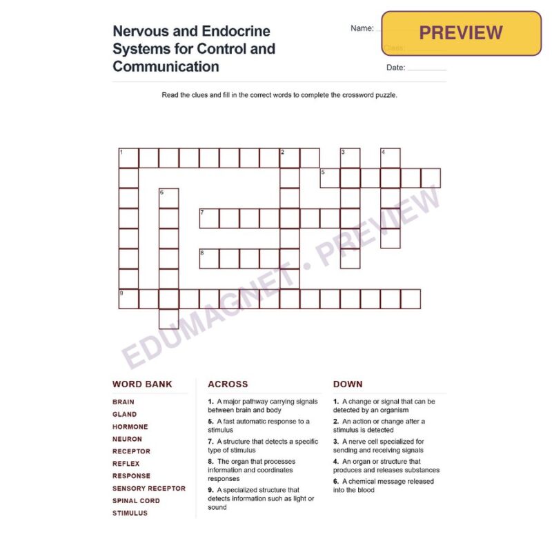 Nervous And Endocrine Systems For Control And Communication (Crossword Worksheets) Grade 7 NGSS