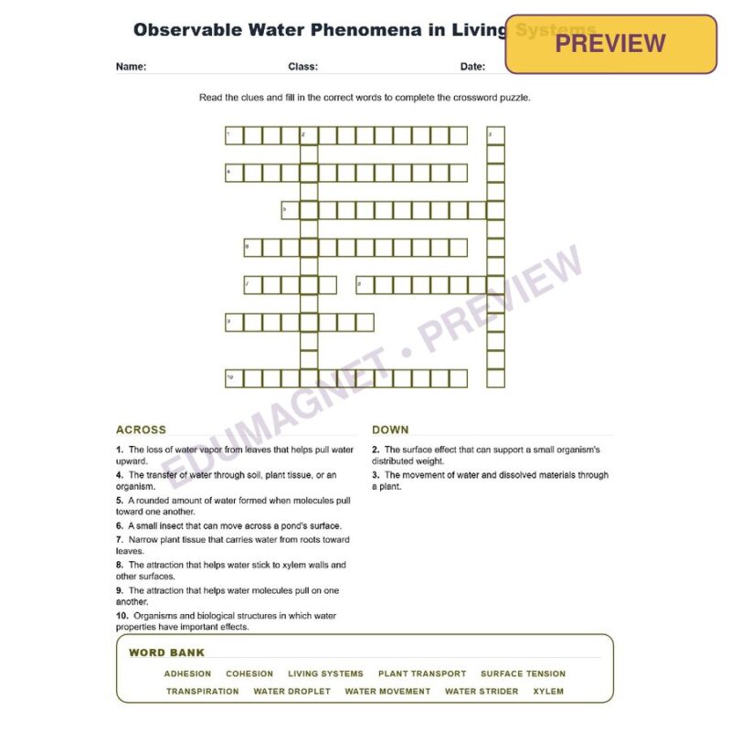 Observable Water Phenomena In Living Systems (Crossword Worksheets) Grade 8 Science TEKS 8.6C