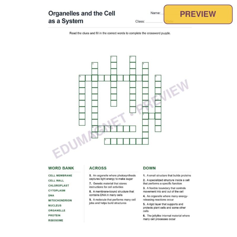 Organelles And The Cell As A System (Crossword Worksheets) Grade 7 NGSS