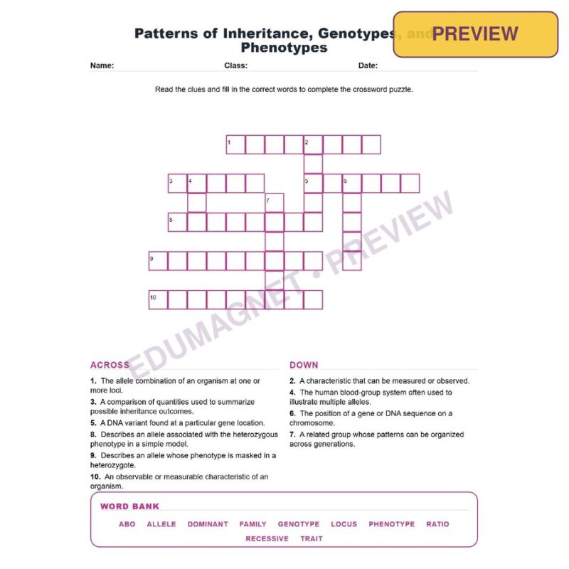 Patterns Of Inheritance, Genotypes, And Phenotypes (Crossword Worksheets) NGSS MS LS3 2
