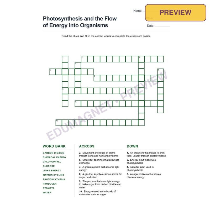 Photosynthesis And The Flow Of Energy Into Organisms (Crossword Worksheets) Grade 7 NGSS