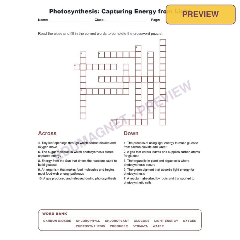 Photosynthesis Capturing Energy From Light (Crossword Worksheets) Virginia SOL LS.4
