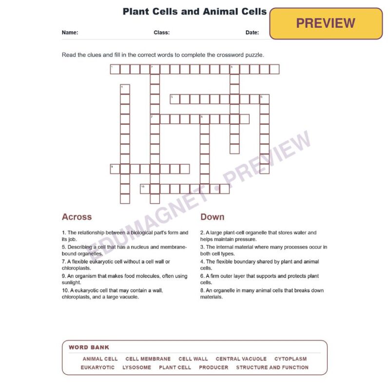 Plant Cells And Animal Cells (Crossword Worksheets) Virginia Grade 7 Life Science SOL LS.2