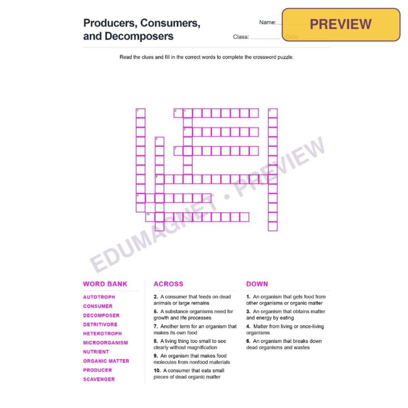 Producers, Consumers, And Decomposers (Crossword Worksheets) Grade 7 NGSS