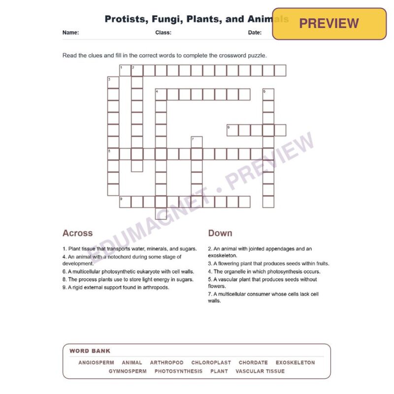 Protists, Fungi, Plants, And Animals (Crossword Worksheets) Virginia SOL LS.3c