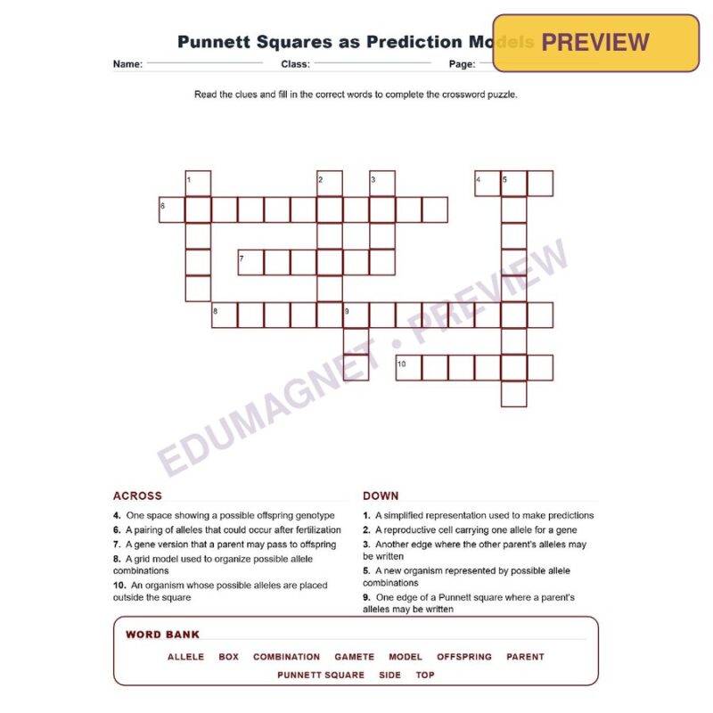 Punnett Squares As Prediction Models (Crossword Worksheets) Virginia SOL LS.10