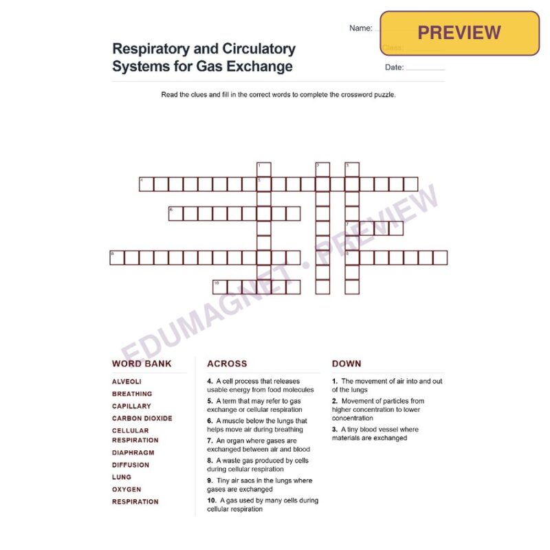 Respiratory And Circulatory Systems For Gas Exchange (Crossword Worksheets) Grade 7 NGSS (1)