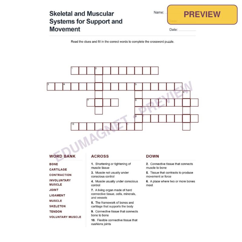 Skeletal And Muscular Systems For Support And Movement (Crossword Worksheets) Grade 7 NGSS
