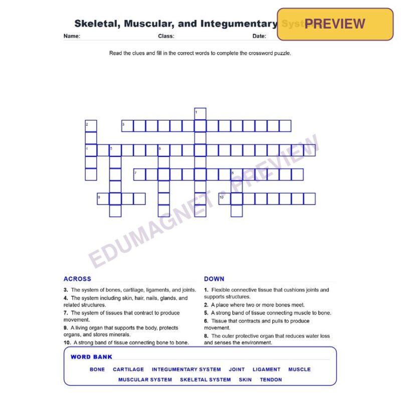 Skeletal, Muscular, And Integumentary Systems (Crossword Worksheets) Grade 7 Science TEKS 7.13A