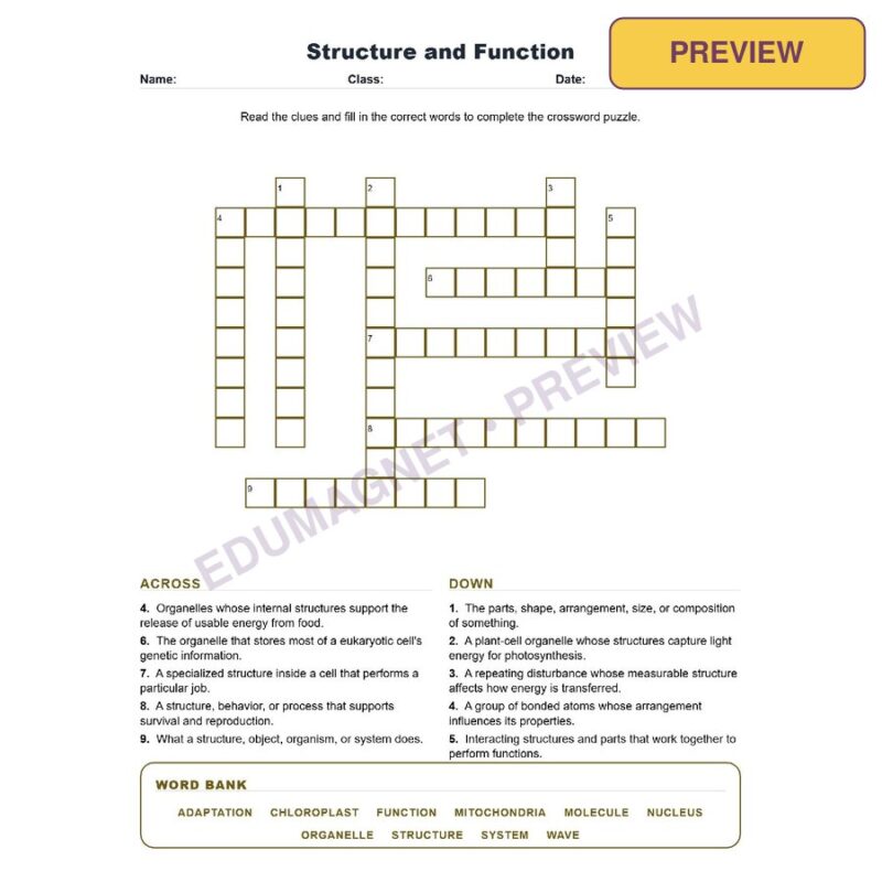 Structure And Function (Crossword Worksheets) Grade 8 Science TEKS 8.5F