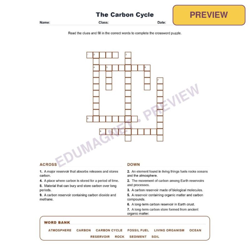The Carbon Cycle (Crossword Worksheets) Grade 8 Science TEKS 8.11C