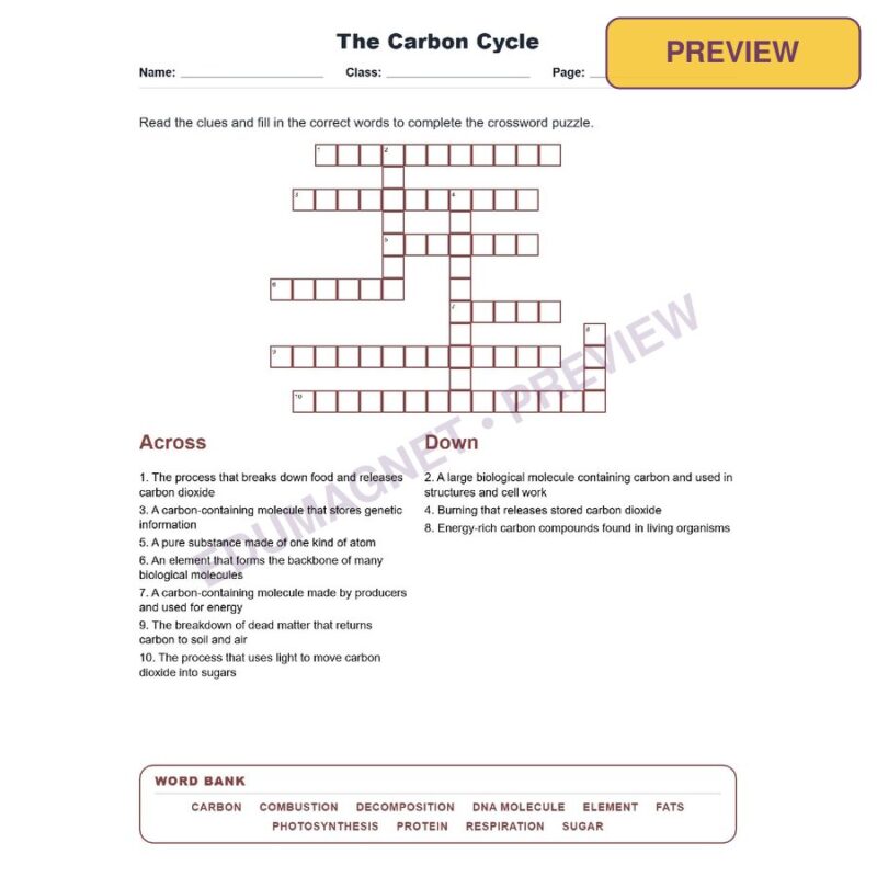 The Carbon Cycle (Crossword Worksheets) Virginia SOL LS.5