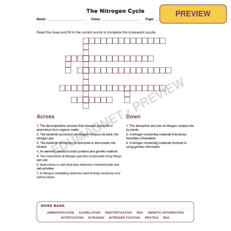 The Nitrogen Cycle (Crossword Worksheets) Virginia SOL LS.5