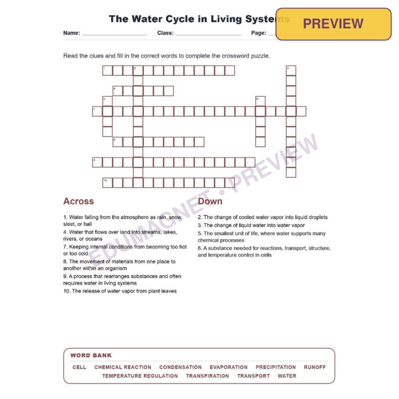 The Water Cycle In Living Systems (Crossword Worksheets) Virginia SOL LS.5