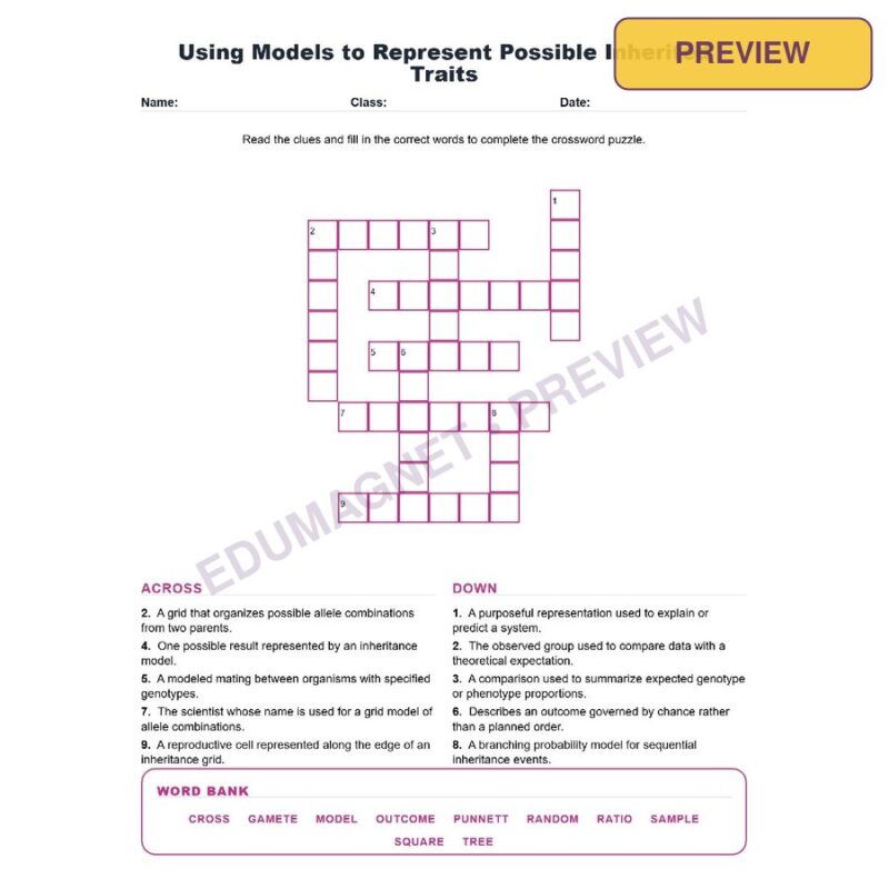 Using Models To Represent Possible Inherited Traits (Crossword Worksheets) NGSS MS LS3 2