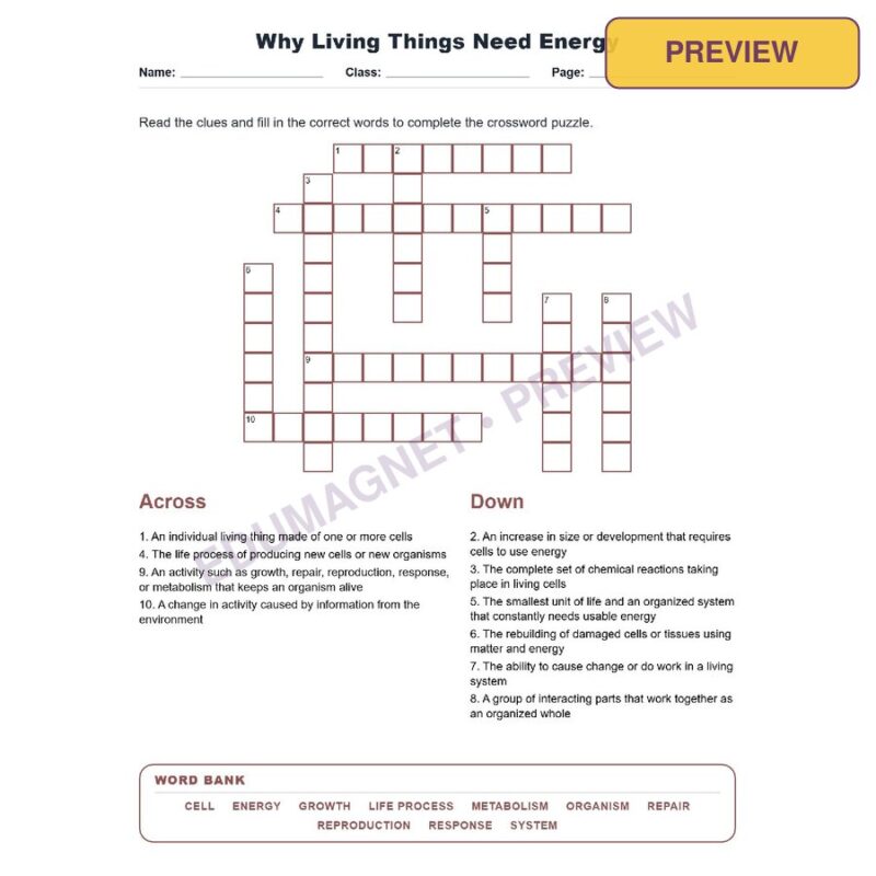 Why Living Things Need Energy (Crossword Worksheets) Virginia SOL LS.4