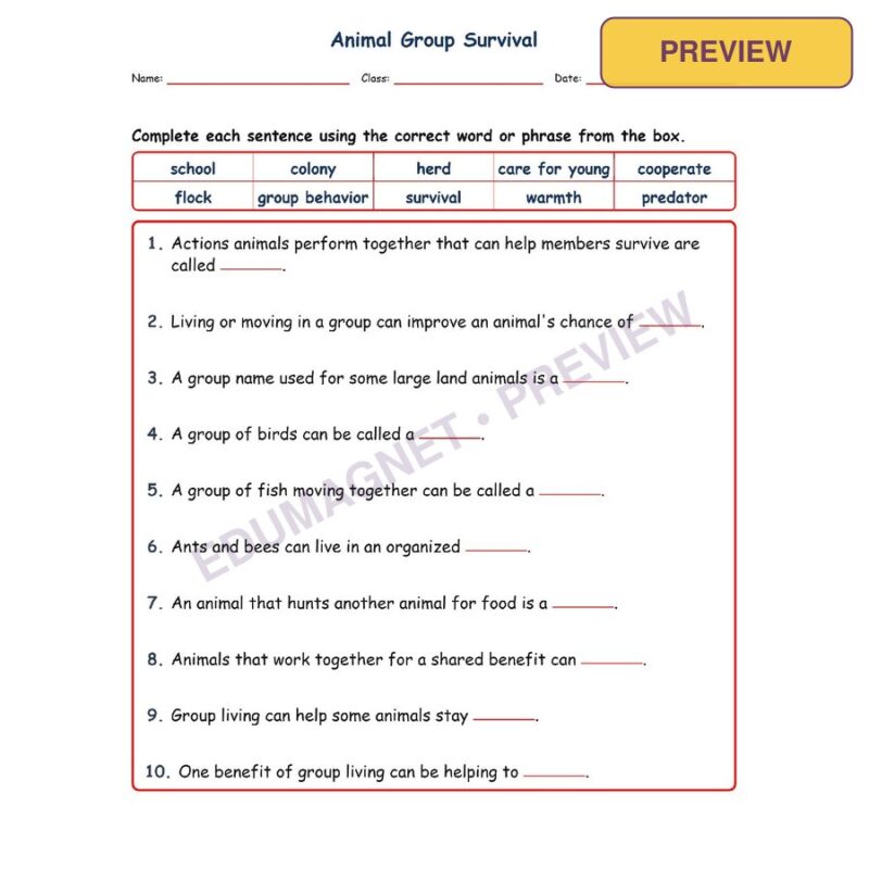 Animal Group Survival Fill MCQ Written Exit Tickets Worksheet NGSS Grade 3