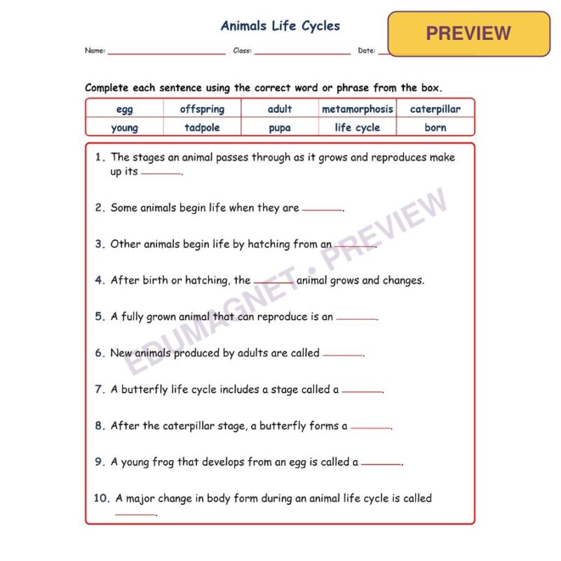 Animals Life Cycles Fill MCQ Written Exit Tickets Worksheet NGSS Grade 3