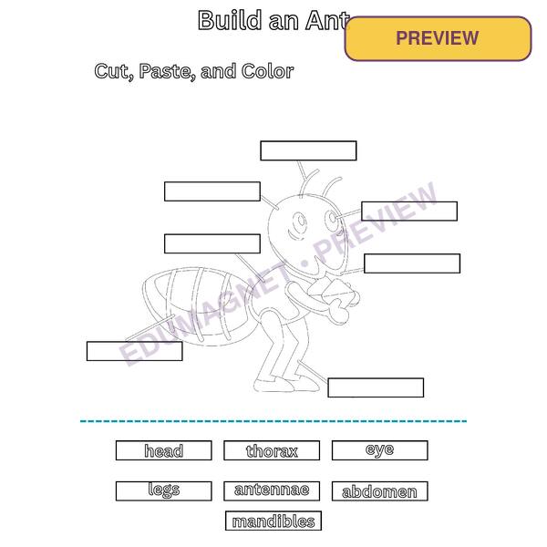 Ant Cut, Paste, And Color