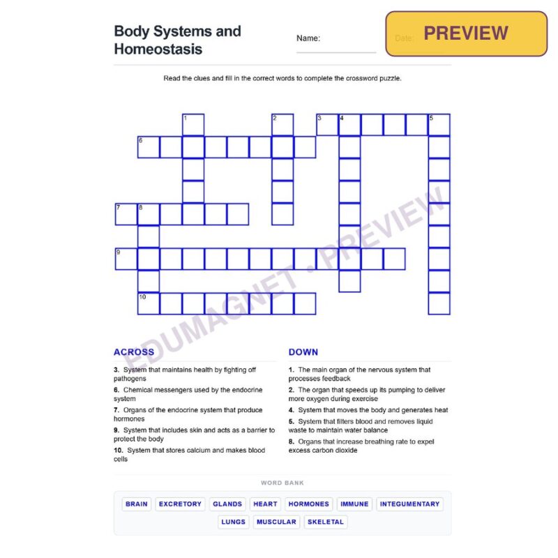 Body Systems And Homeostasis ( Crossword Activity )