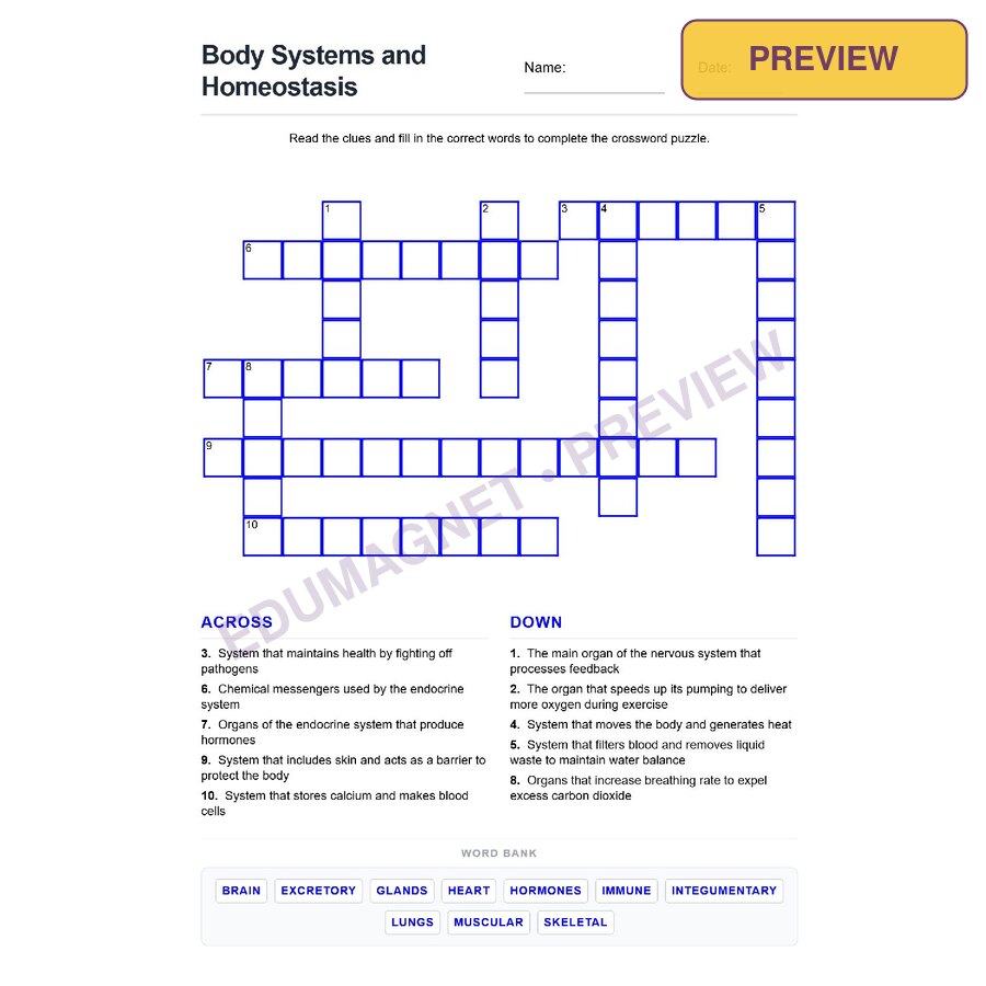 Body Systems And Homeostasis ( Crossword Activity )