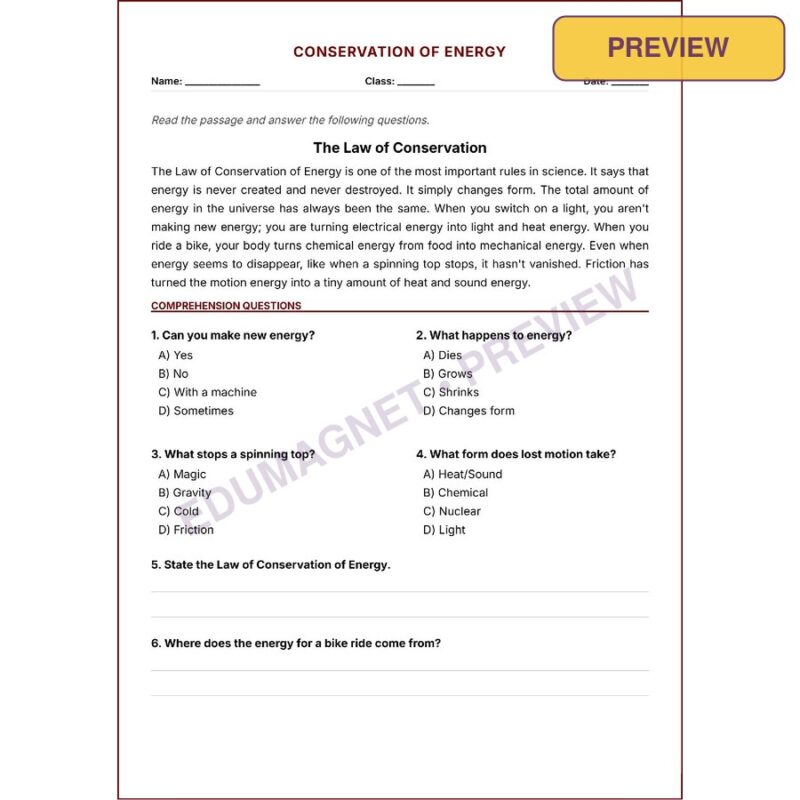 Conservation Of Energy G8 NGSS Worksheets