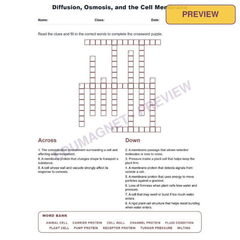 Diffusion Osmosis And The Cell Membrane (Crossword Worksheets) Virginia Grade 7 Life Science SOL LS.2