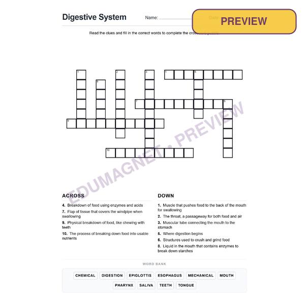 Digestive System Grade 7 ( Crossword Activity )