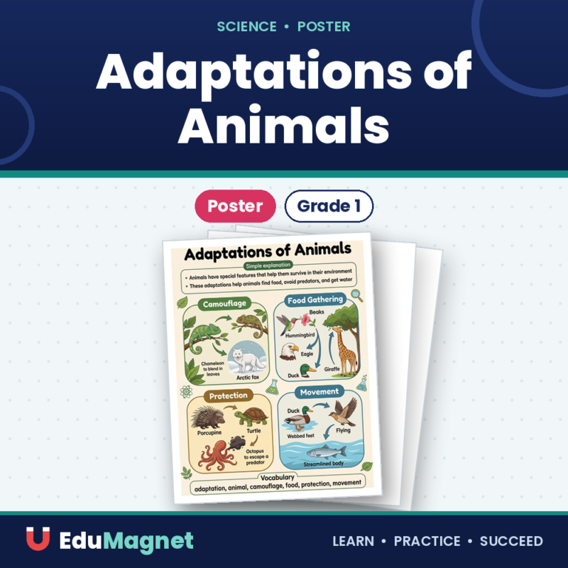 Adaptations of Animals Poster.