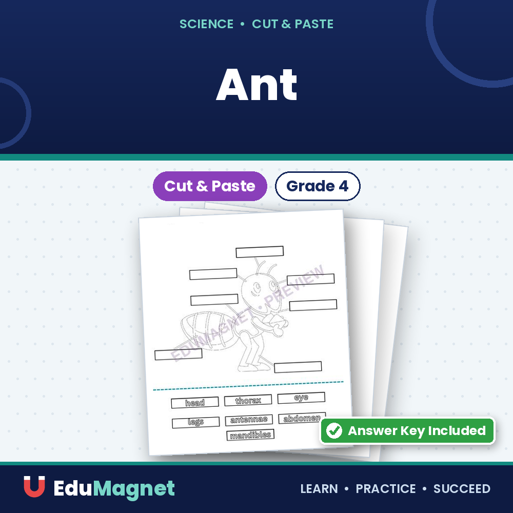 Ant Cut, Paste, And Color