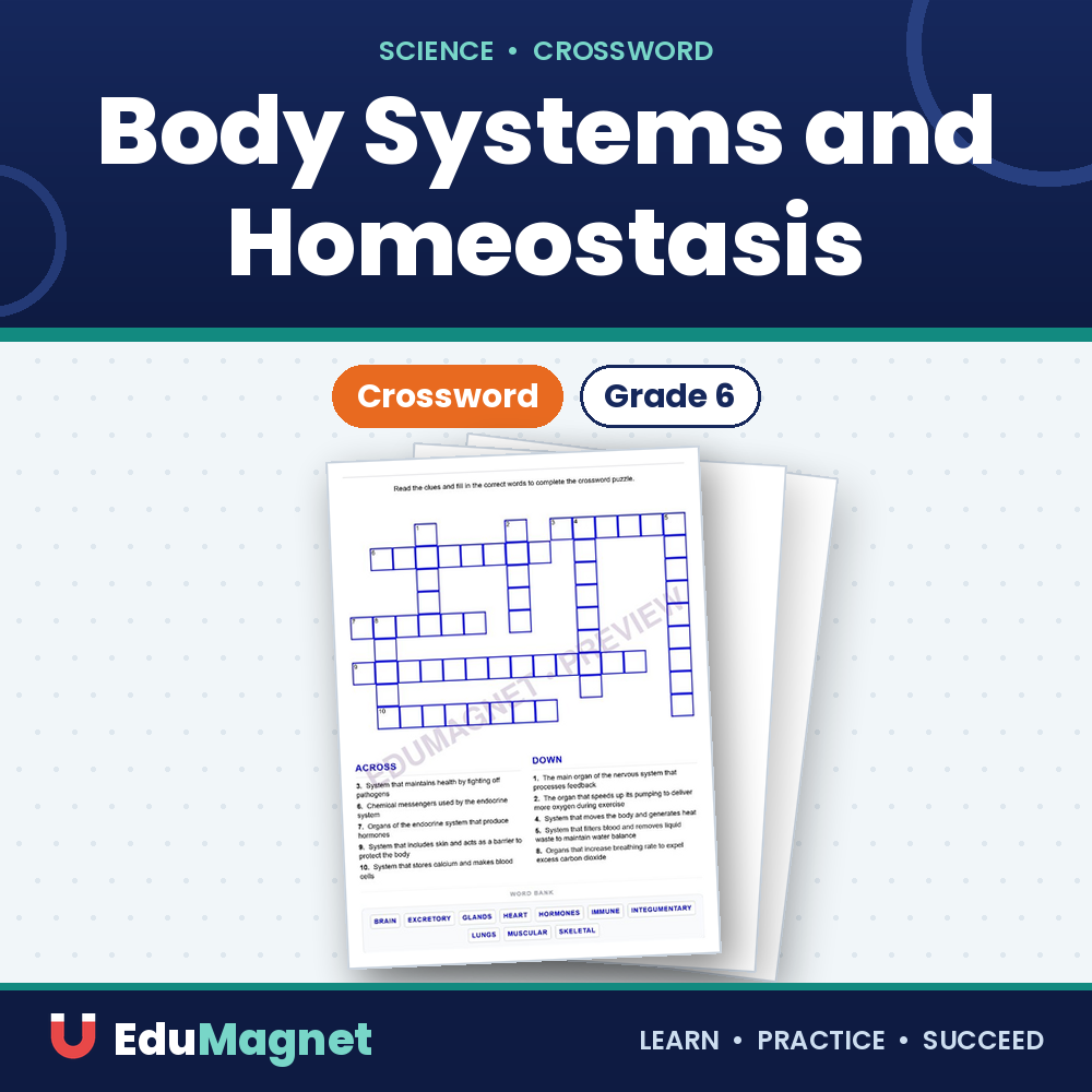 Body Systems And Homeostasis ( Crossword Activity )