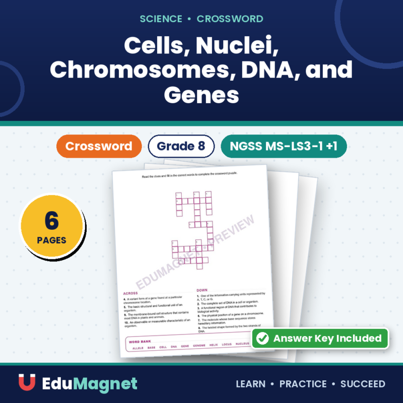 Cells, Nuclei, Chromosomes, DNA, And Genes (Crossword Worksheets) NGSS MS LS3 1, MS LS3 2