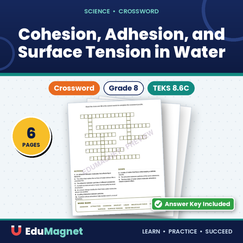 Cohesion, Adhesion, And Surface Tension In Water (Crossword Worksheets) Grade 8 Science TEKS 8.6C