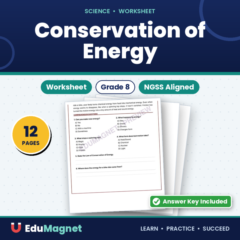 Conservation Of Energy G8 NGSS Worksheets