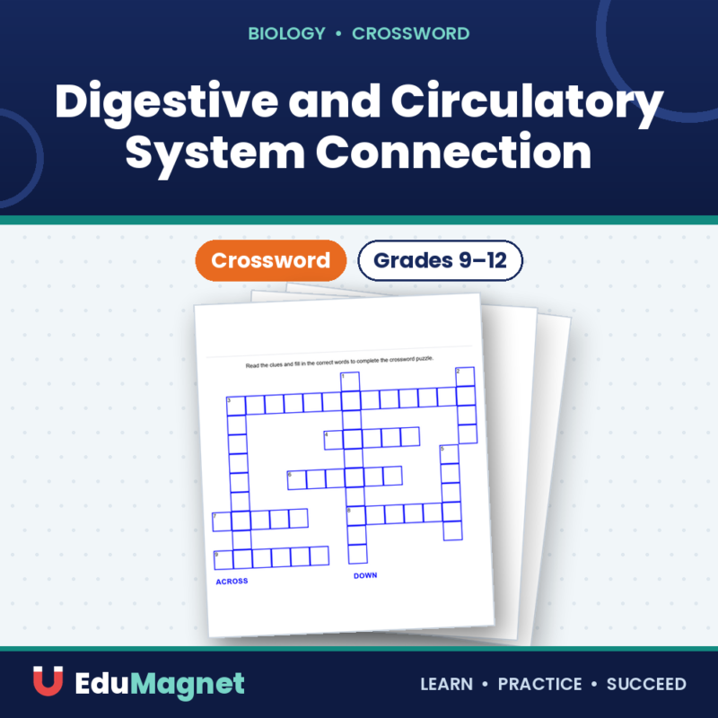 Digestive and Circulatory System Connection Crossword