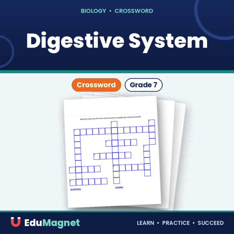 Digestive System Grade 7 ( Crossword Activity ) (2)