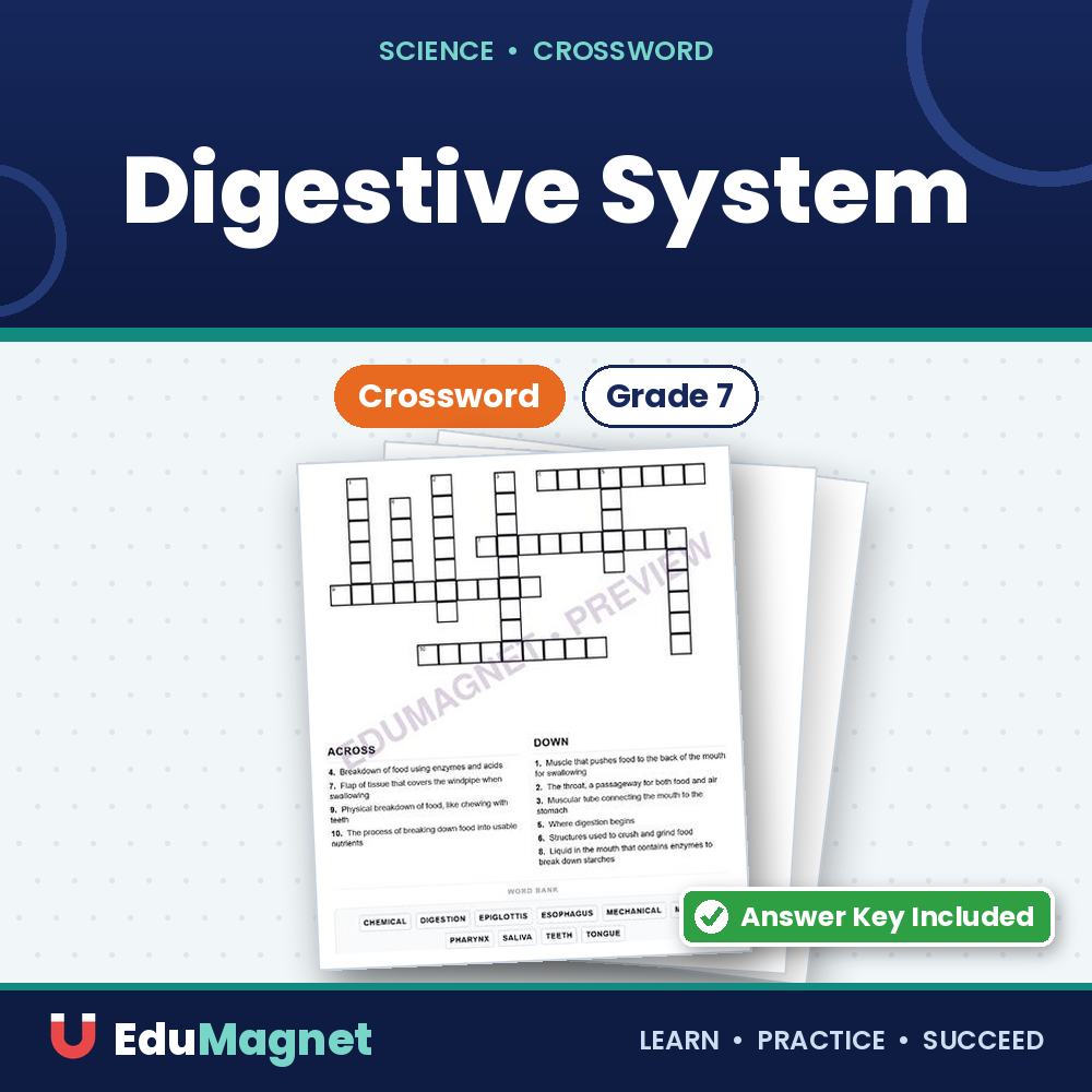 Digestive System Grade 7 ( Crossword Activity )