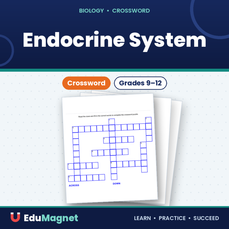 Endocrine System Crossword (2)